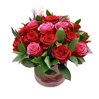 Неописуемый восторг