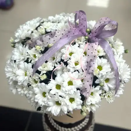 Ромашковый рай